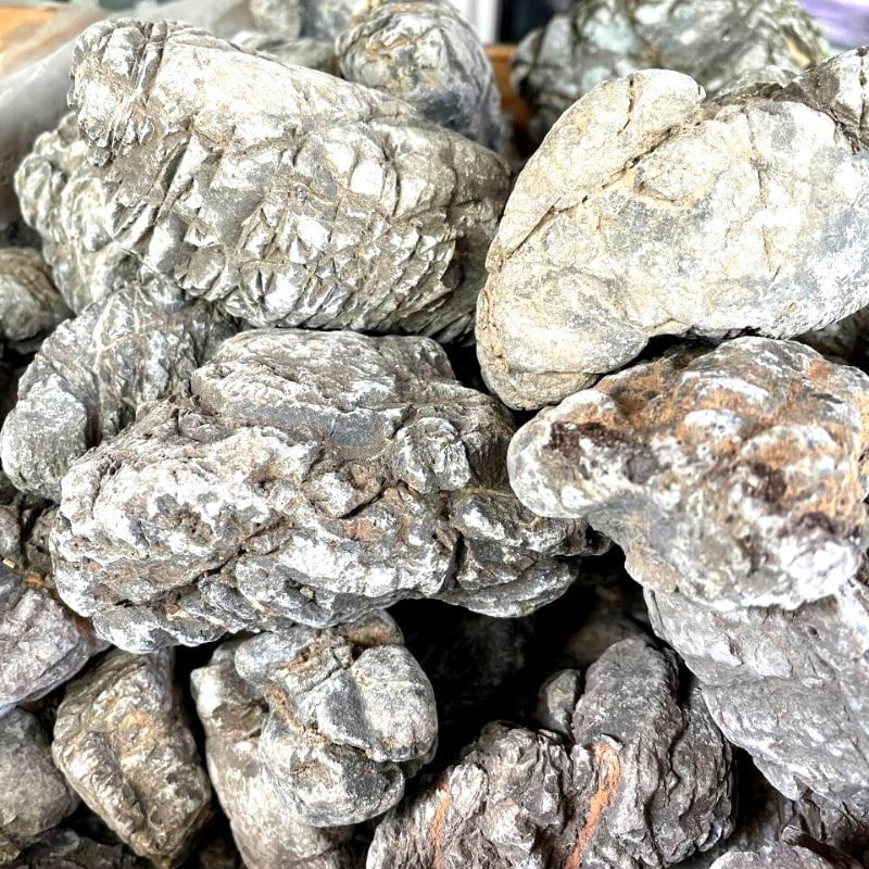 ANS Turly Rocks 20kg Box (S , M , L)