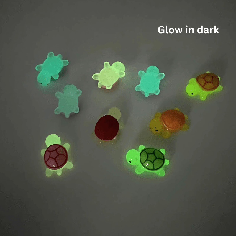 Lucky Turtle Decoration M Assorted Colour