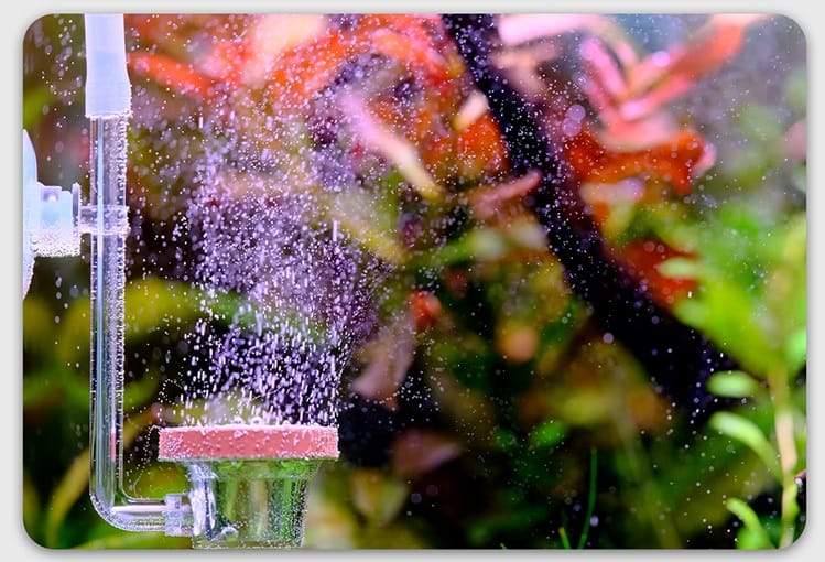 TWINSTAR Diffuser CO2 even finer micro bubbles !