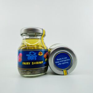 UHT Fairy Shrimp - 75g (Bottled)