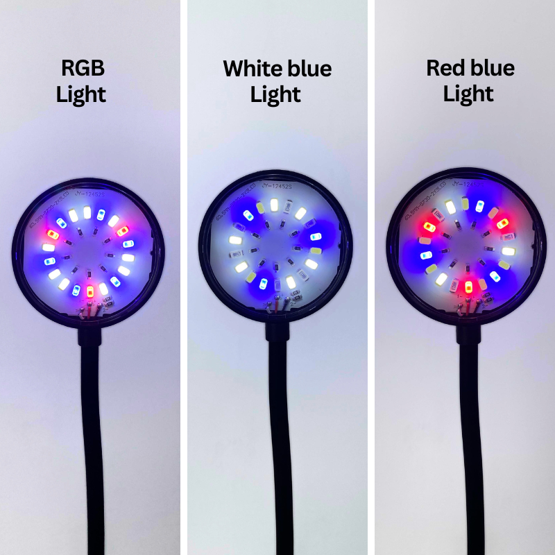 UP AQUA CA-ET-004-B Turtle Tank with light (Black)