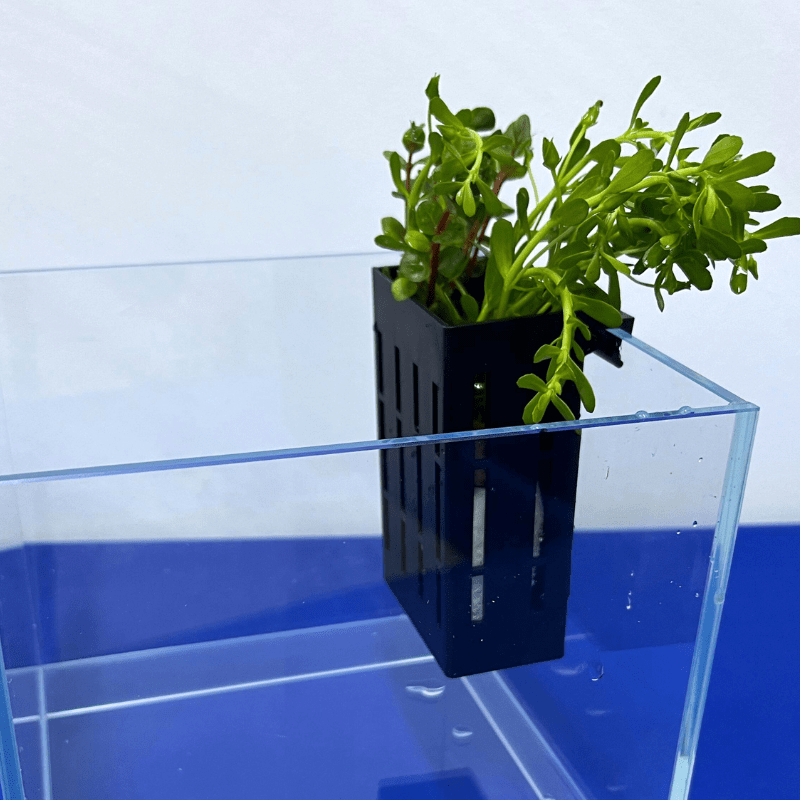 UP AQUA CA-AC-010-B Hydroponic Box (black/grey) Plant holder