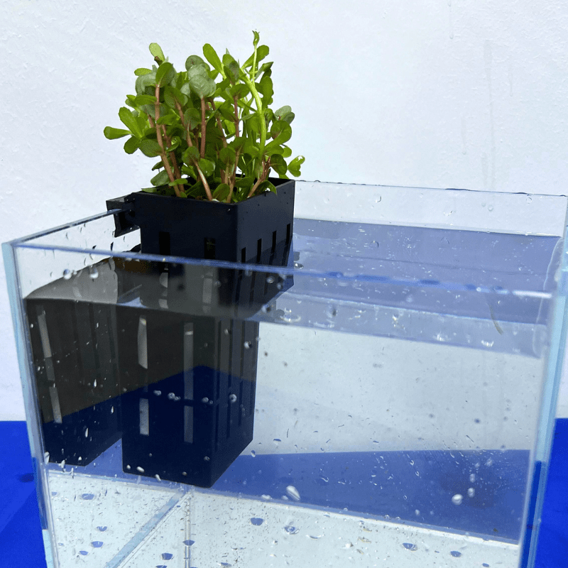 UP AQUA CA-AC-010-B Hydroponic Box (black/grey) Plant holder