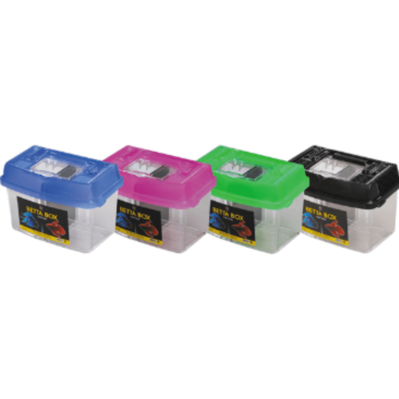 UP AQUA D-016 Betta Box (1pcs)