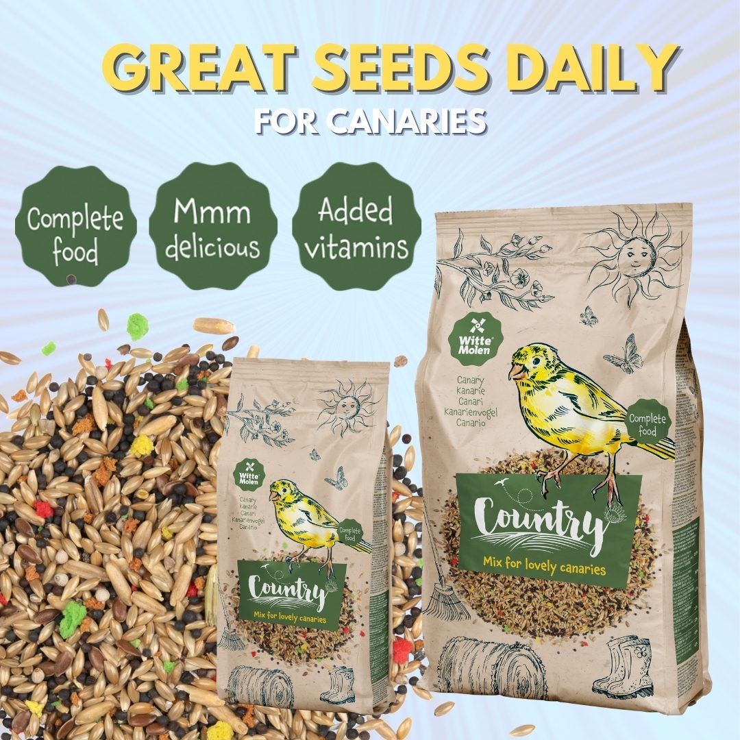 Witte Molen Country Canary 0 6Kg