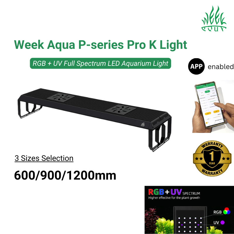 Week Aqua P-series Pro K Light (60 - 120cm) Black