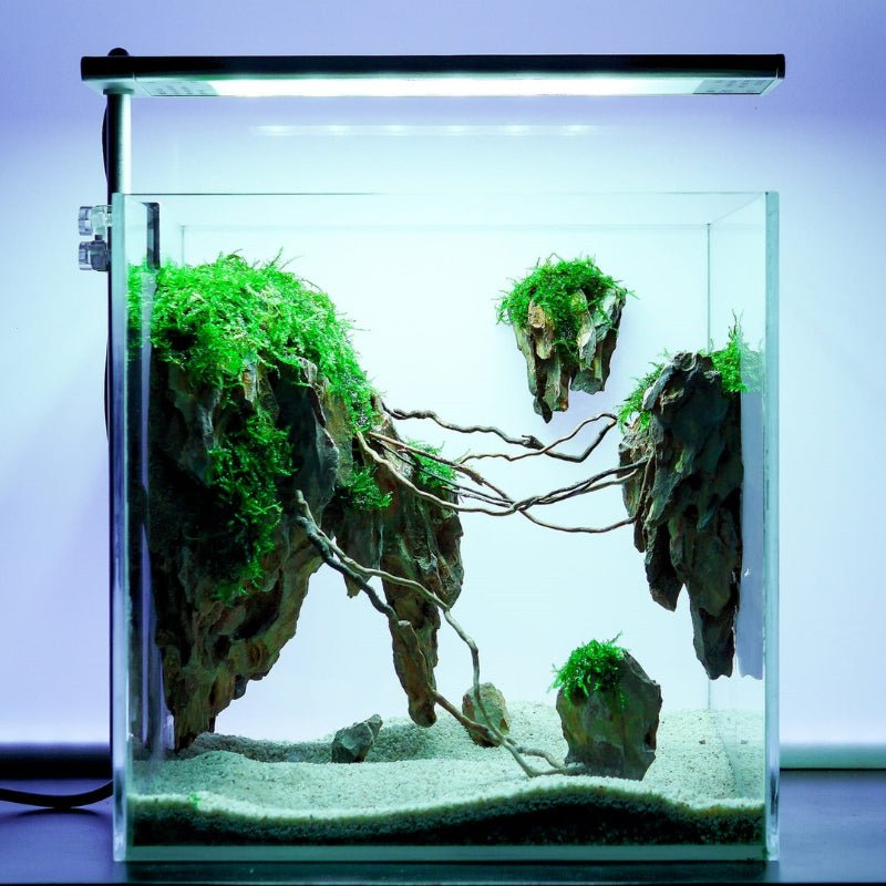 Week Aqua S - Series Pro light