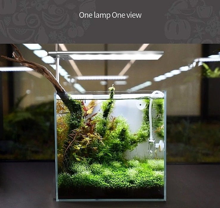 Week Aqua S - Series Pro light