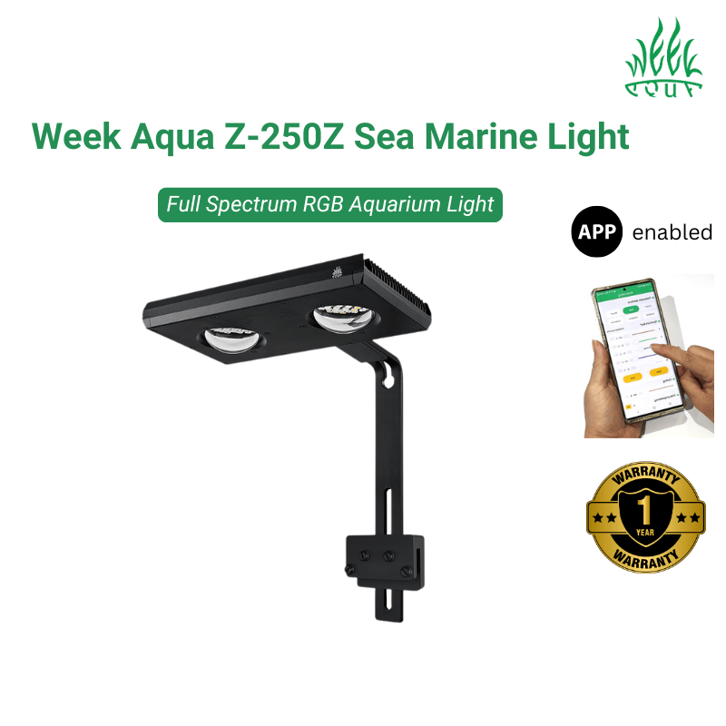 Week Aqua Z-250Z Sea Marine Light (Black)
