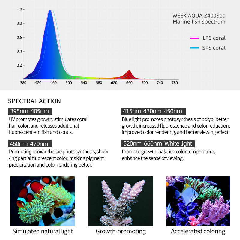 Week Aqua Z-250Z Sea Marine Light (Black)