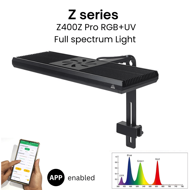 Week Aqua Z400Z Pro light (Standard Style) (stand included)