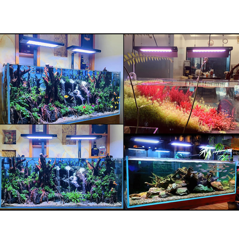 Week Aqua Z400Z Pro light (Standard Style) (stand included)