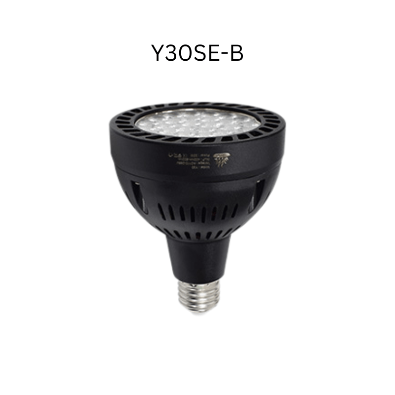 Week aqua Y30 LED Spotlight Black
