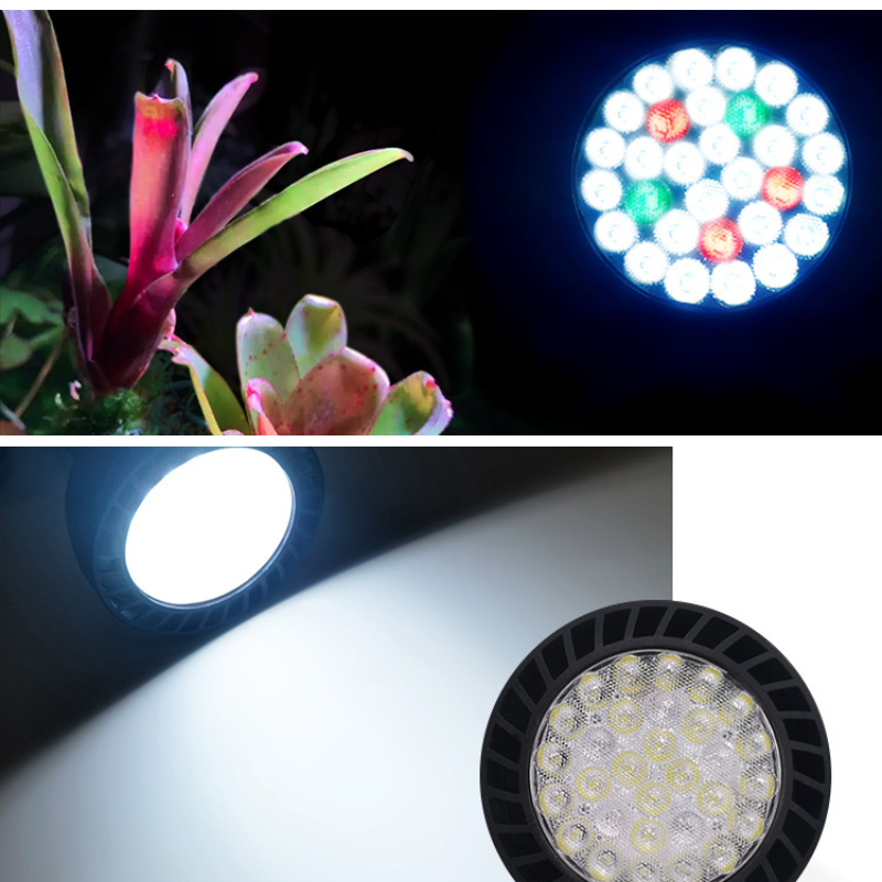 Week aqua Y30 LED Spotlight Black