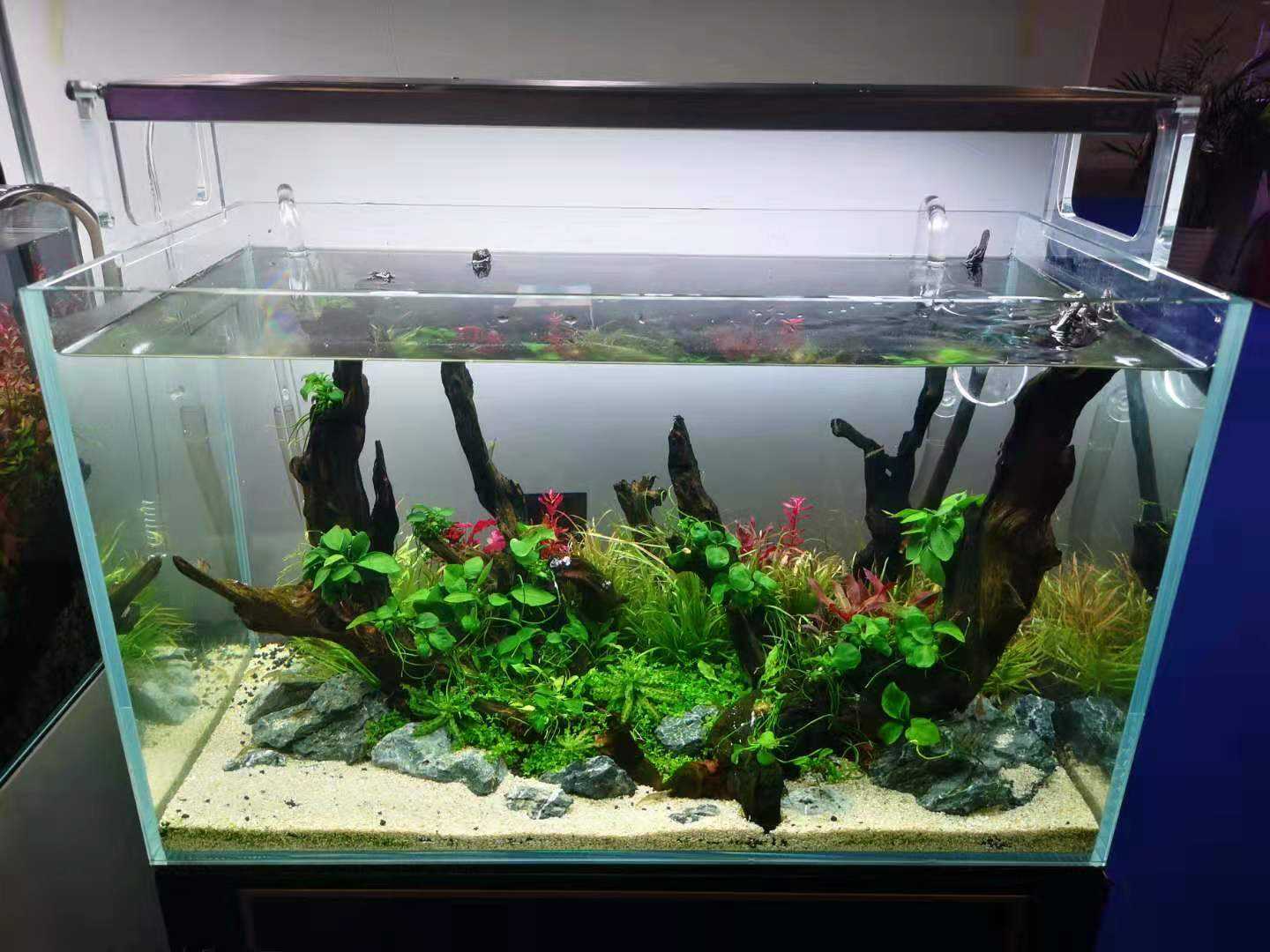 Week Aqua L - Series Pro LED Light (60cm - 120cm)