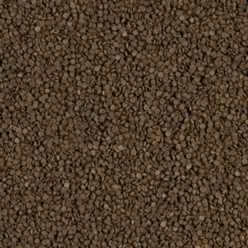 Tropical Welsi Gran (mini sinking wafer)