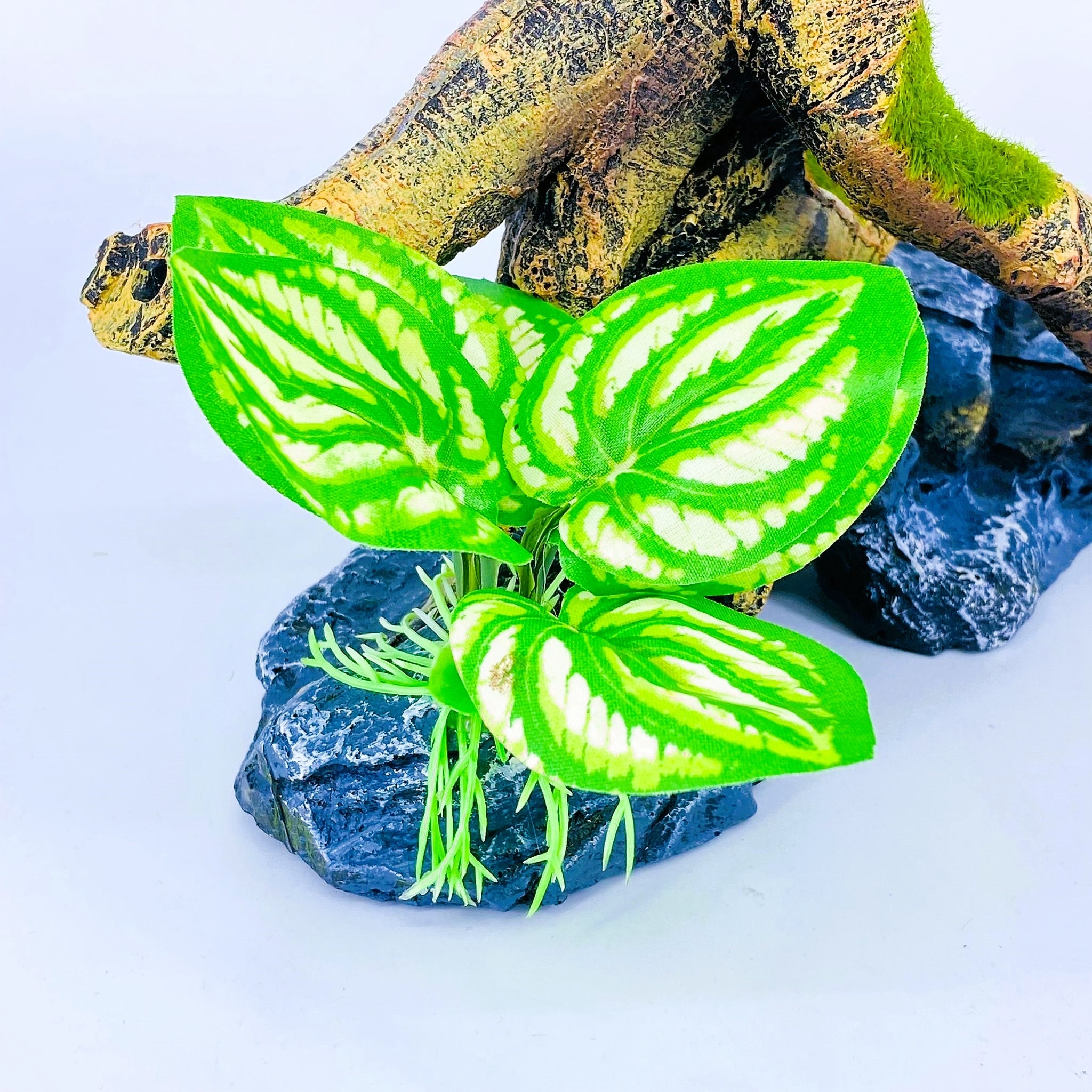 Zhen De Decoration - Wood w/ Plants - F25278-6