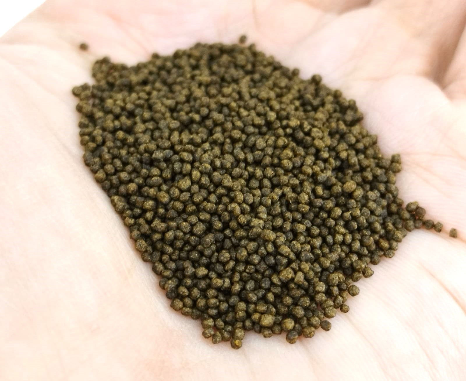 ANS Extreme Growth Pellet S 1100G