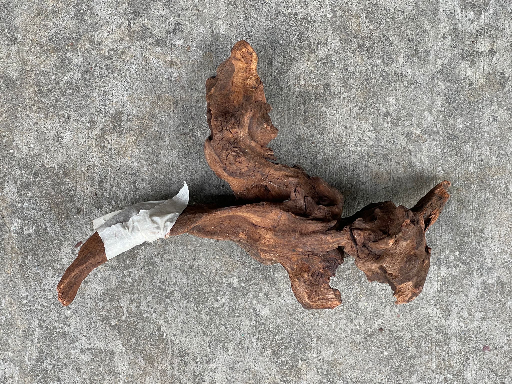 ANS Old Black Driftwood (Various size)