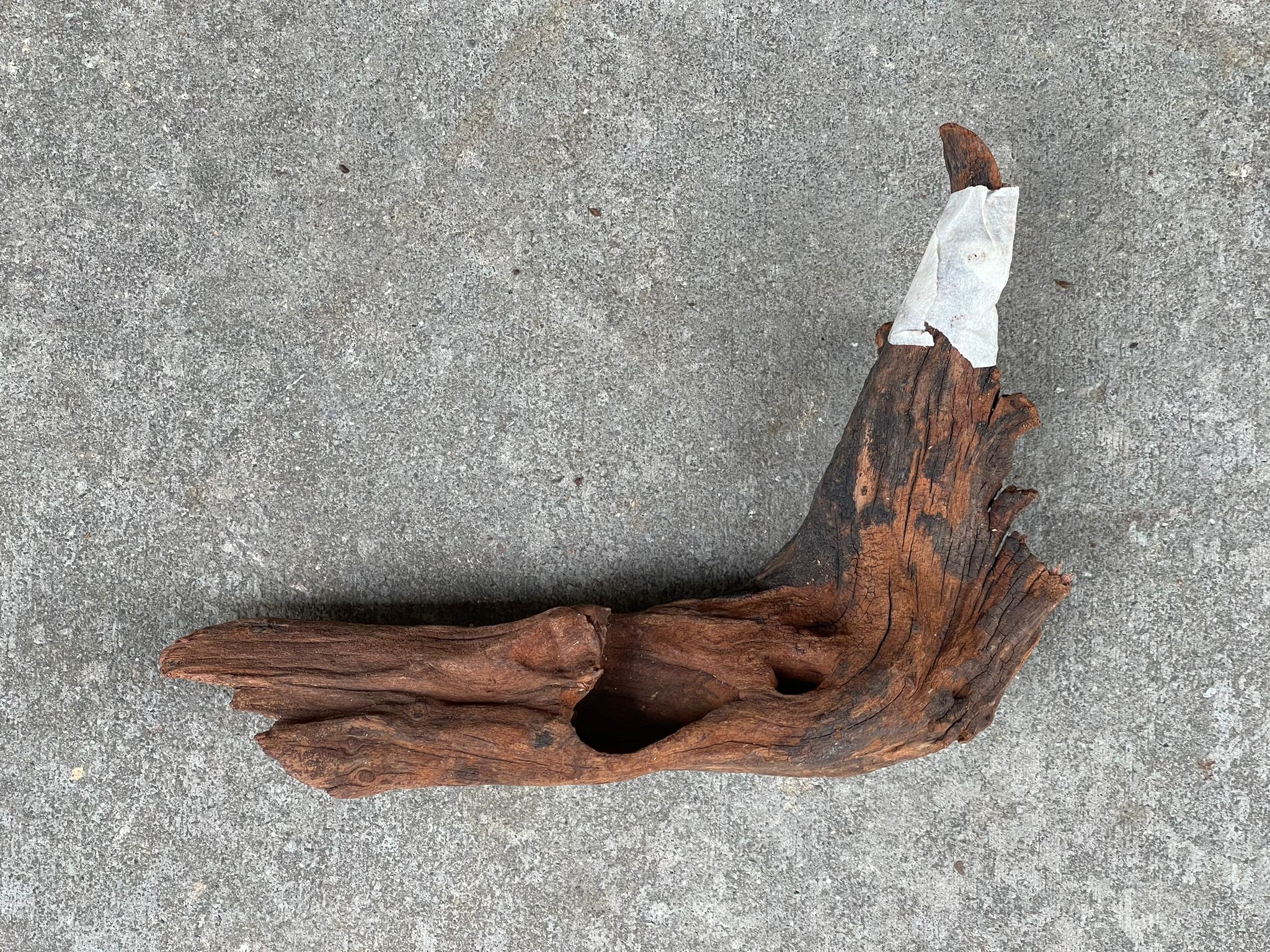 ANS Old Black Driftwood (Various size)