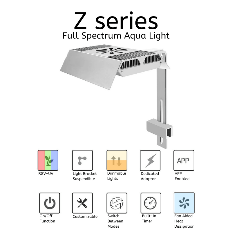 Week Aqua Z400D WRGB led Light