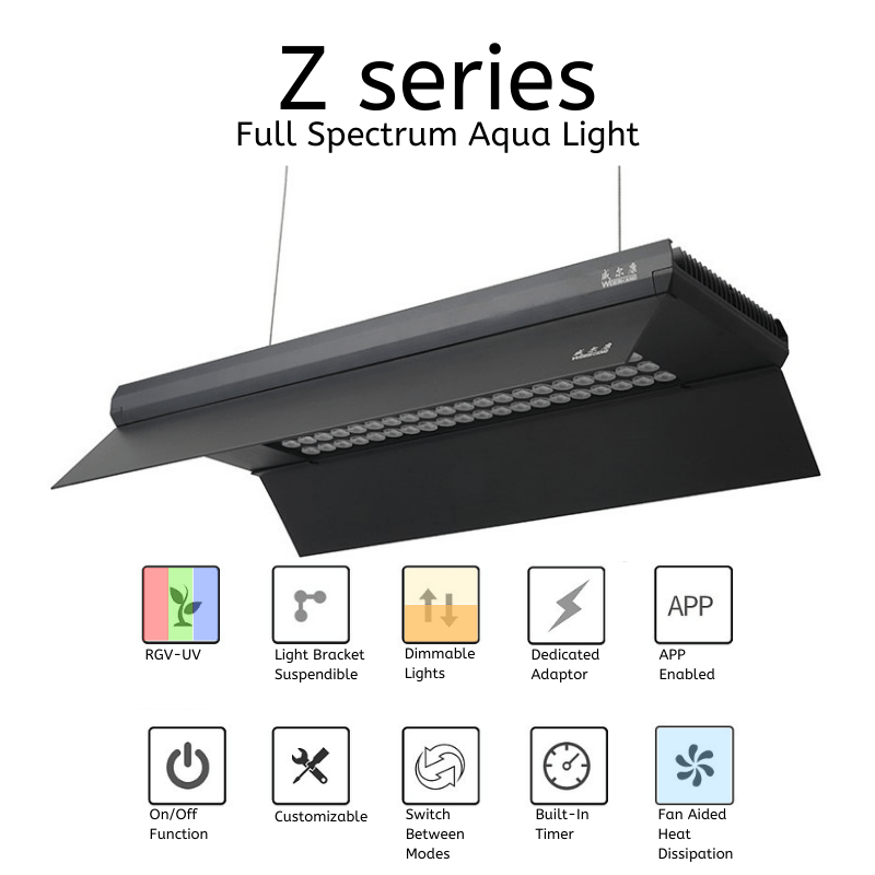 Week Aqua - Light Shades (L/M/P/Z - Series)