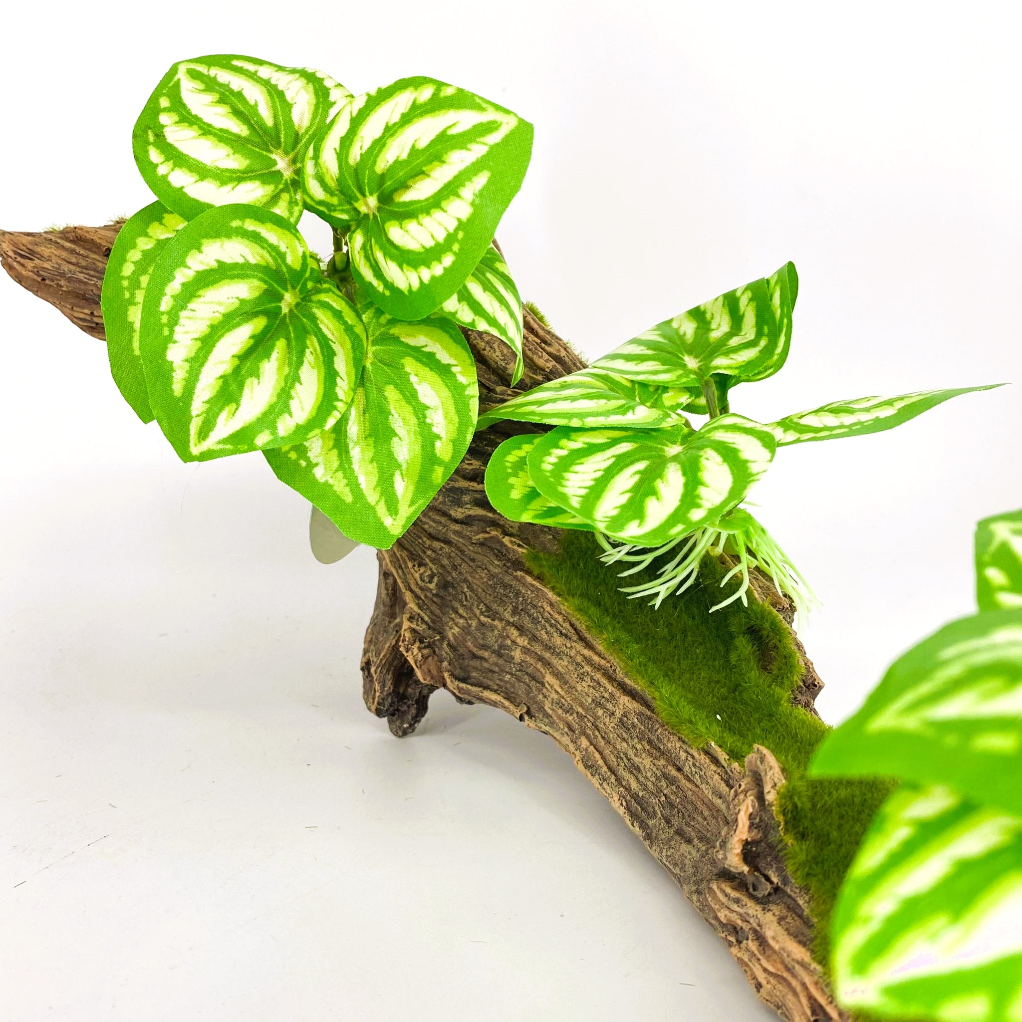 Zhen De Decoration - Wood w/ Plants - F07-6