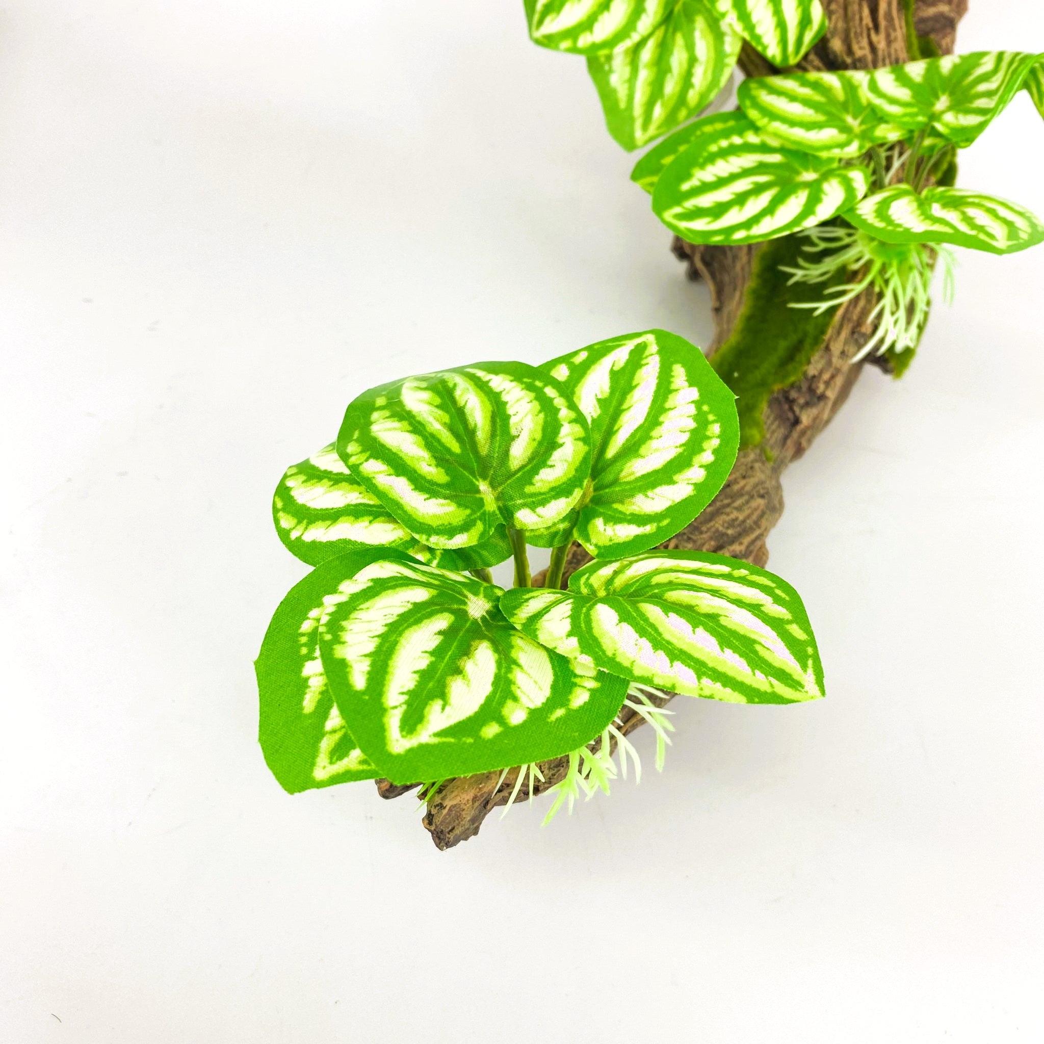 Zhen De Decoration - Wood w/ Plants - F07-6