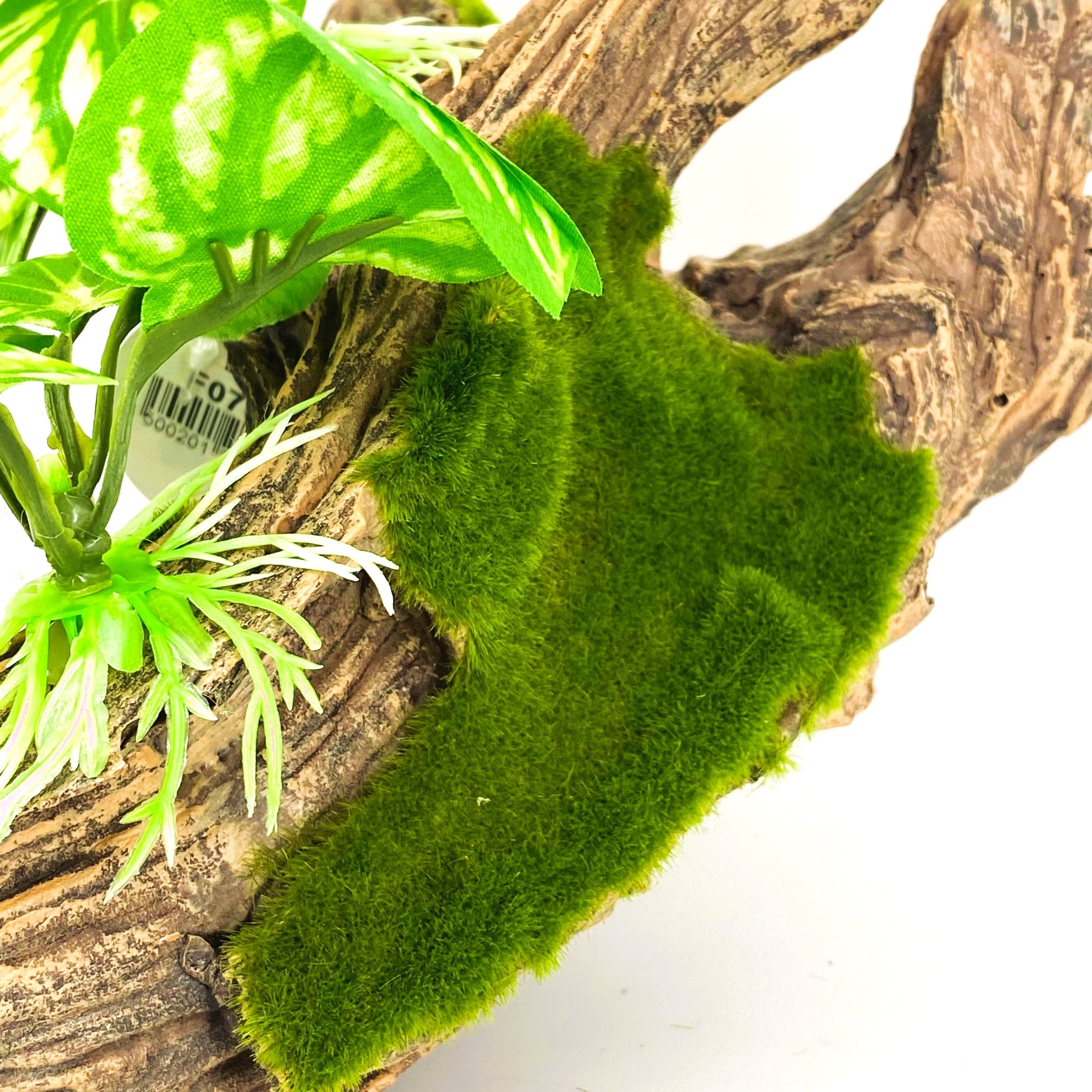 Zhen De Decoration - Wood w/ Plants - F07-6