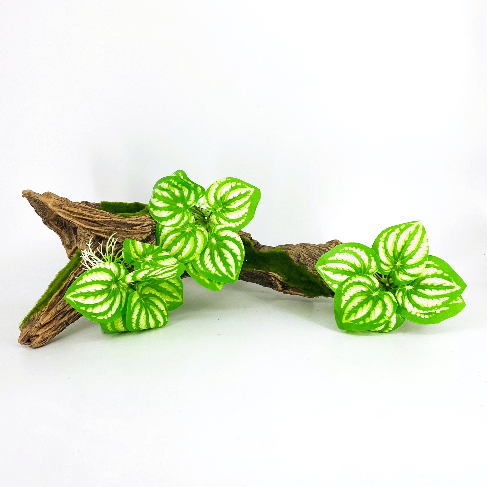 Zhen De Decoration - Wood w/ Plants - F07-6