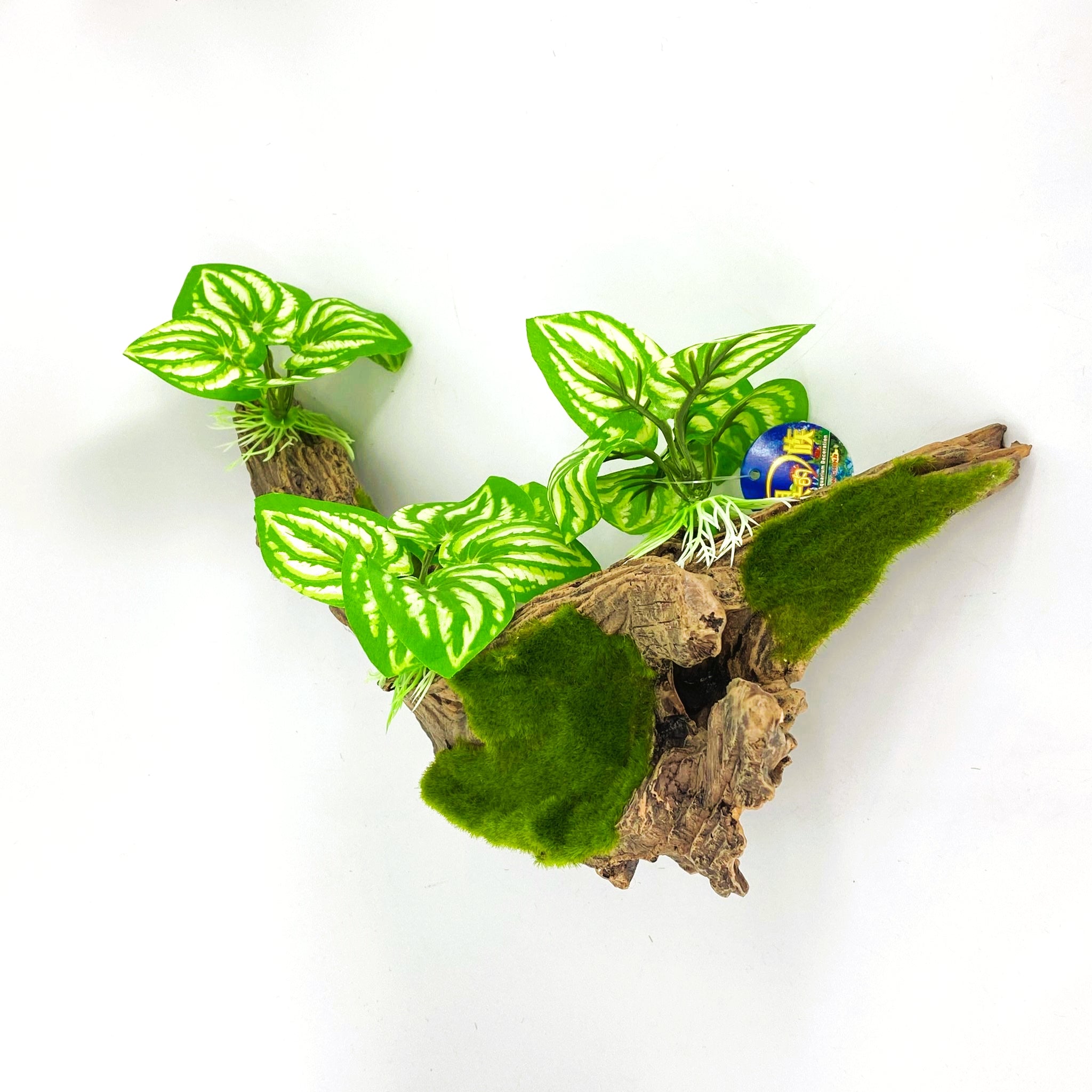 Zhen De Decoration - Wood w/ Plants - F07-6