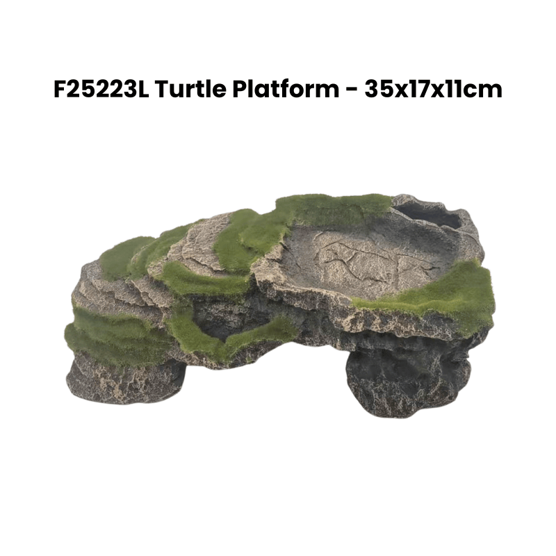 Zz F25223L Turtle Platform Deco Green