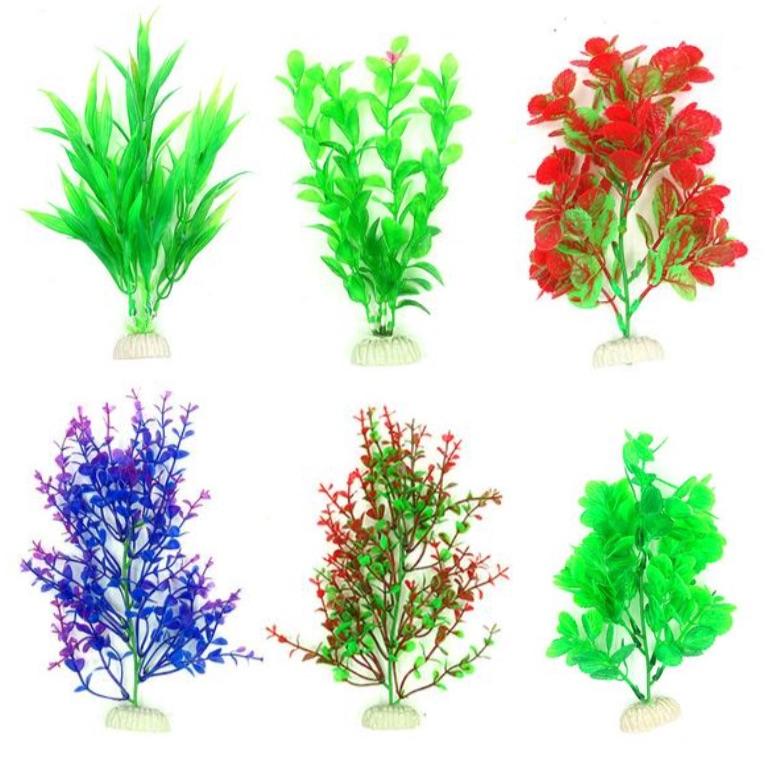 Zz Plant Deco 8 Narrow 10Pcs Pack