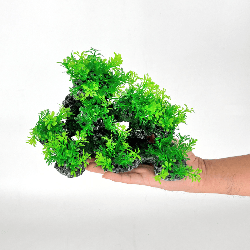 Zhen De Decoration Green Deco 186M