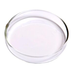 ANS ShrimpZy Feeder Plate GLASS 75