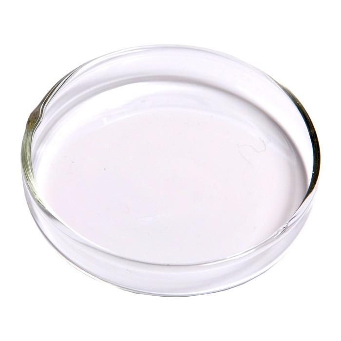 ANS ShrimpZy Feeder Plate GLASS 75