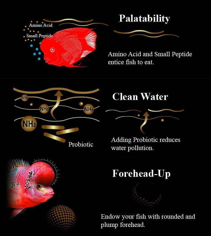 AquaMaster Premium Red Parrot Pellet 500g (with natto probiotics)