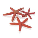 biOrb Starfish Set of 3