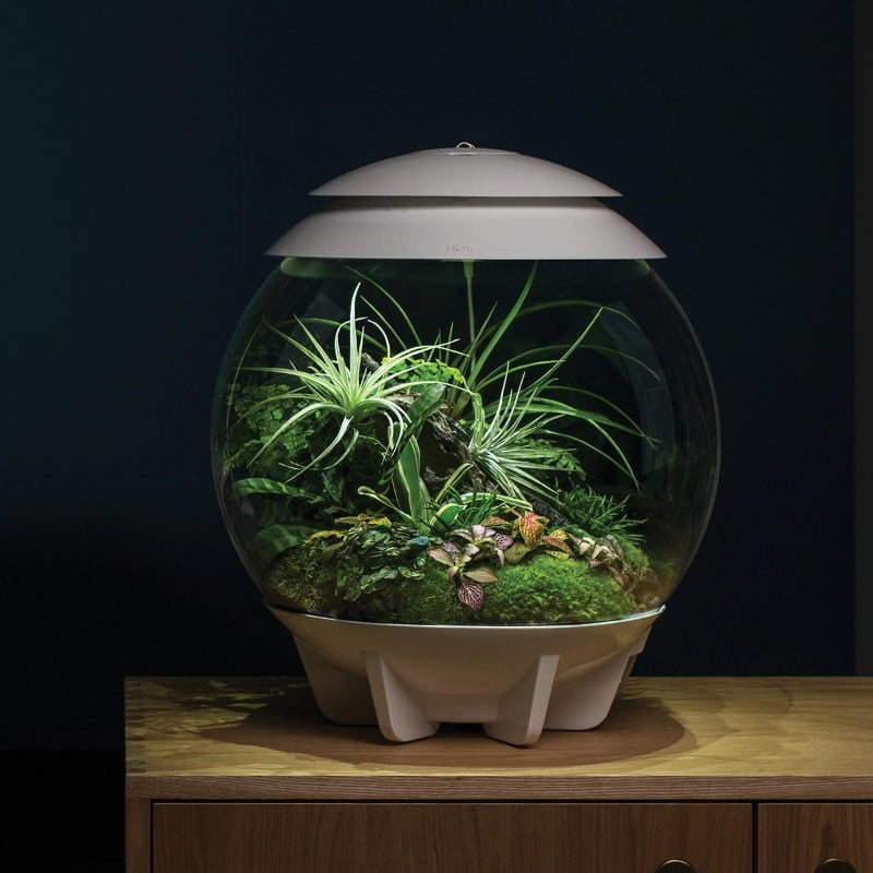 biOrb AIR 30 Grey & White (Terrarium all in one with misting)