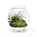 biOrb AIR 30 Grey & White (Terrarium all in one with misting)