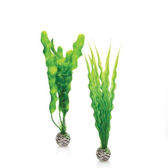 biOrb Easy Plant Set Green