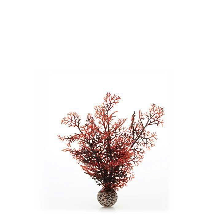 biOrb Sea Fan