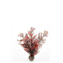 biOrb Sea Fan