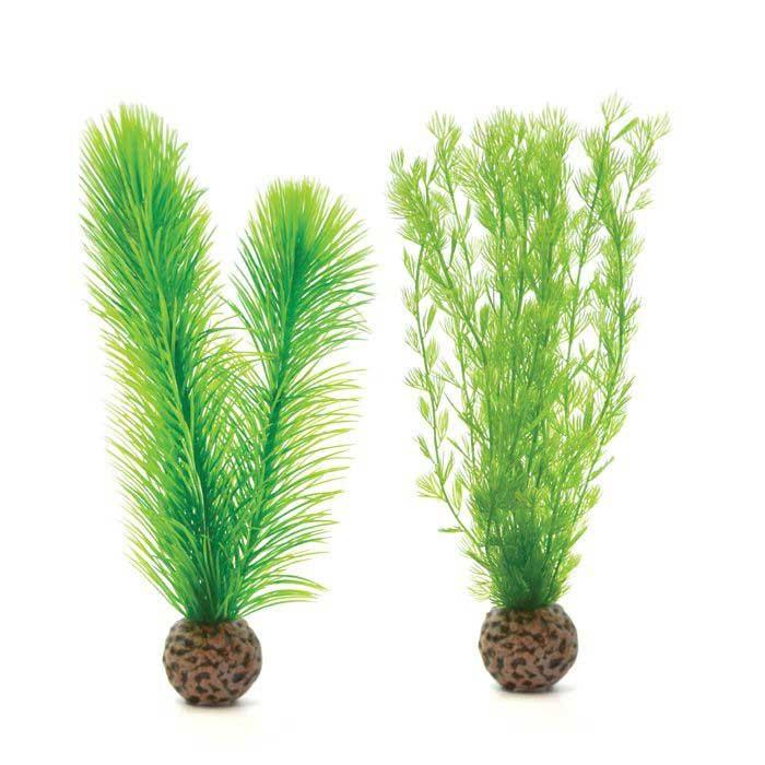 biOrb Feather Fern Set S Green