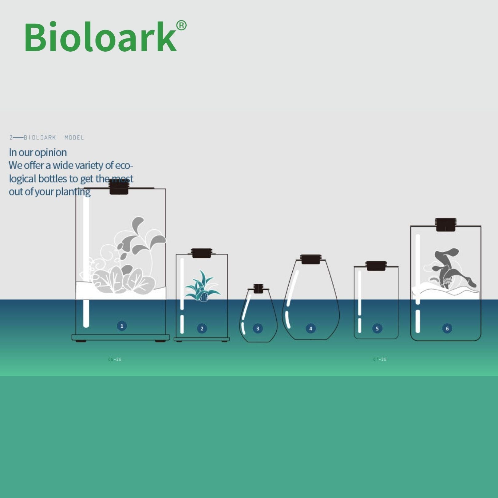 BIOLOARK - Cylindrical Terrarium (ZD-150 / ZD-200)
