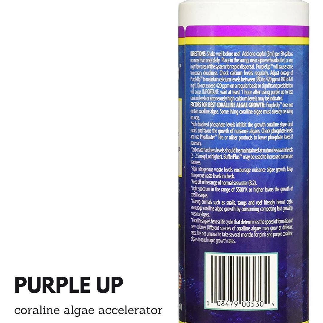Caribsea Purple Up 16oz