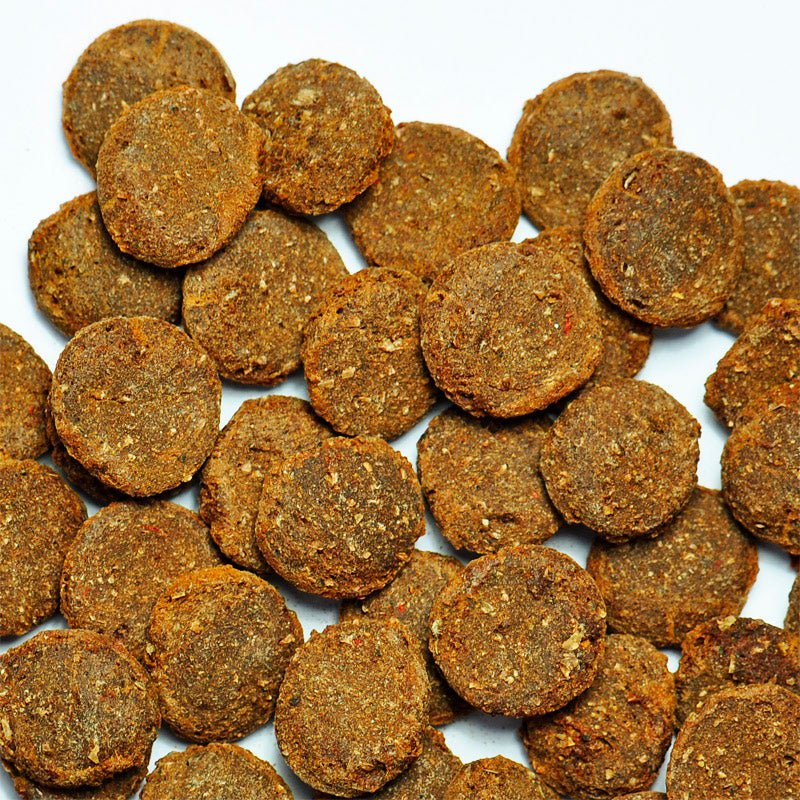DIS Pleco & Catfish Carni Wafers 50g