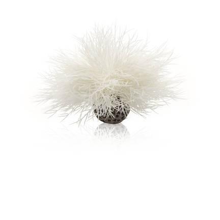 biOrb Aquatic Sea Lily