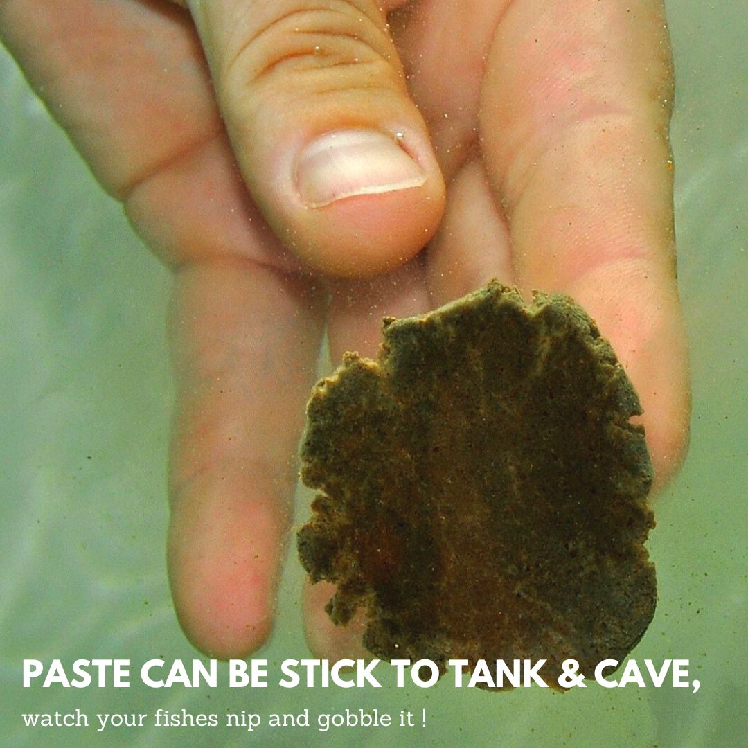 DIS Artemia Nauplii Paste 125g