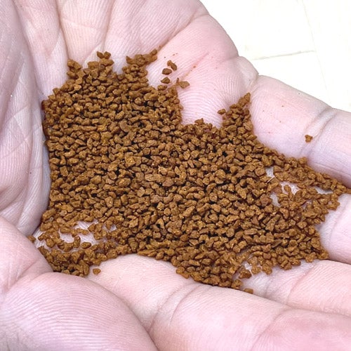 DIS Angelfish supergrowth Granulate 80g 1mm